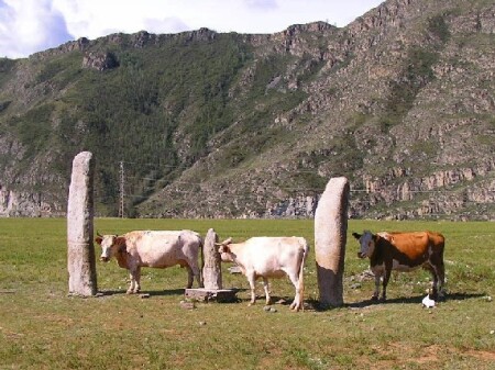 Бабы и буренки...во все времена
