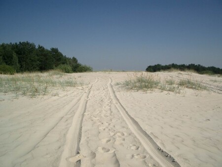 долгая дорога в дюнах