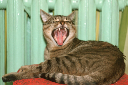 После сладкого сна