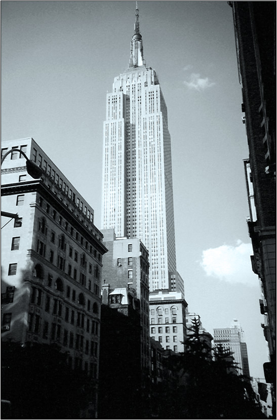 5th Avenue II