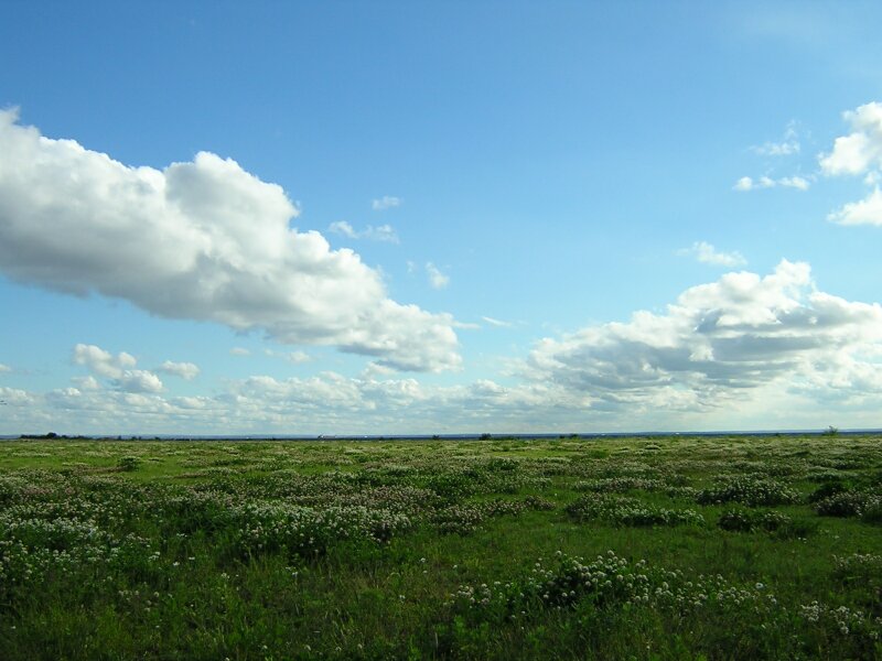 ГоризонТ