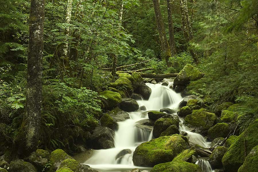 bitter creek