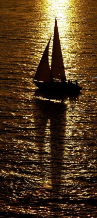 &amp;quot;Лира&amp;quot;