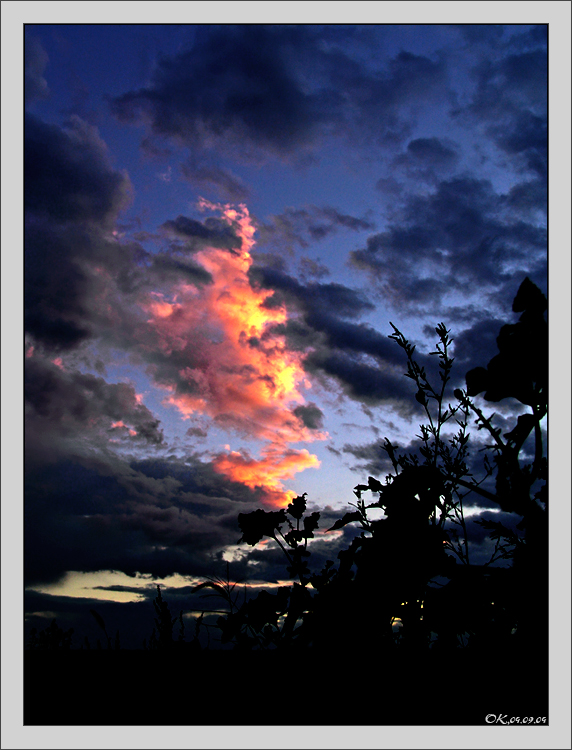 Fiery dragon
