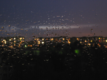 После дождя