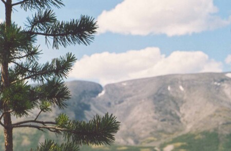 Северный Чоргорр