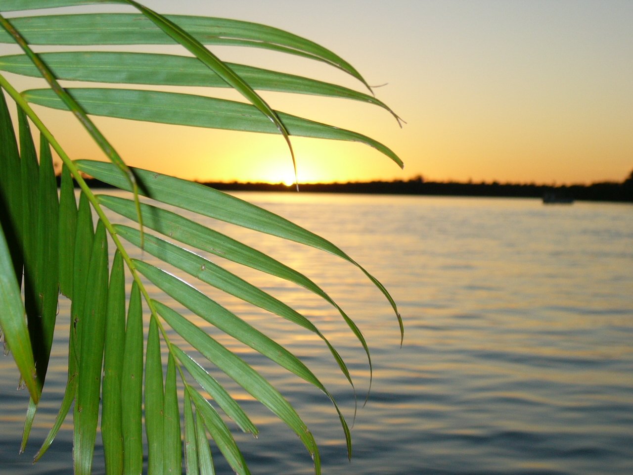 Zambezi sun