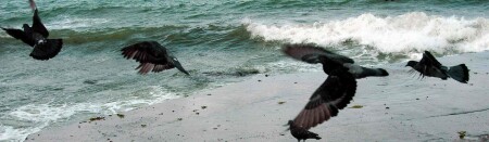 &quot;Мелодия&quot;