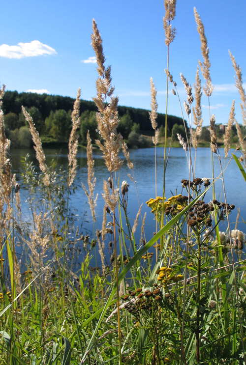 Осенний букет