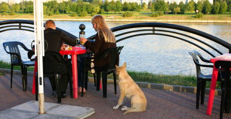 Может повезет...?