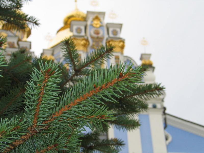 Природа - гениальный архитектор