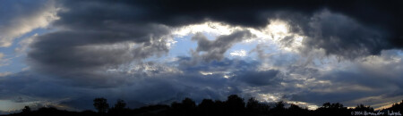 Безумие цвета