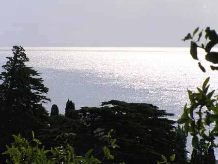 Silence