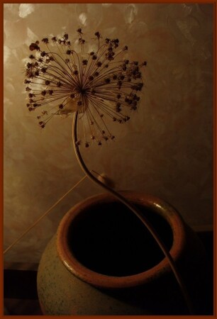 Вот такая экибана...