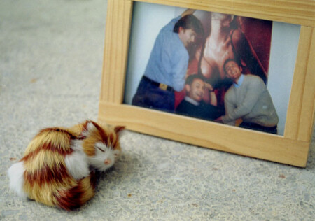 Котенок, рамка, композиция