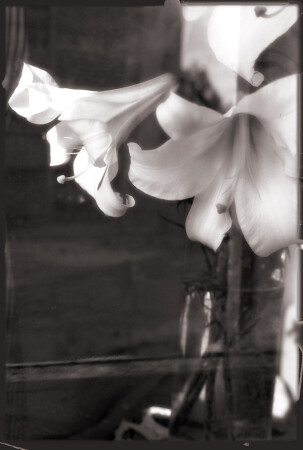 Без названия #2