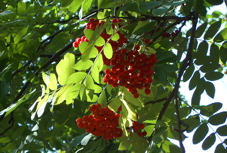 Сентябрь #2