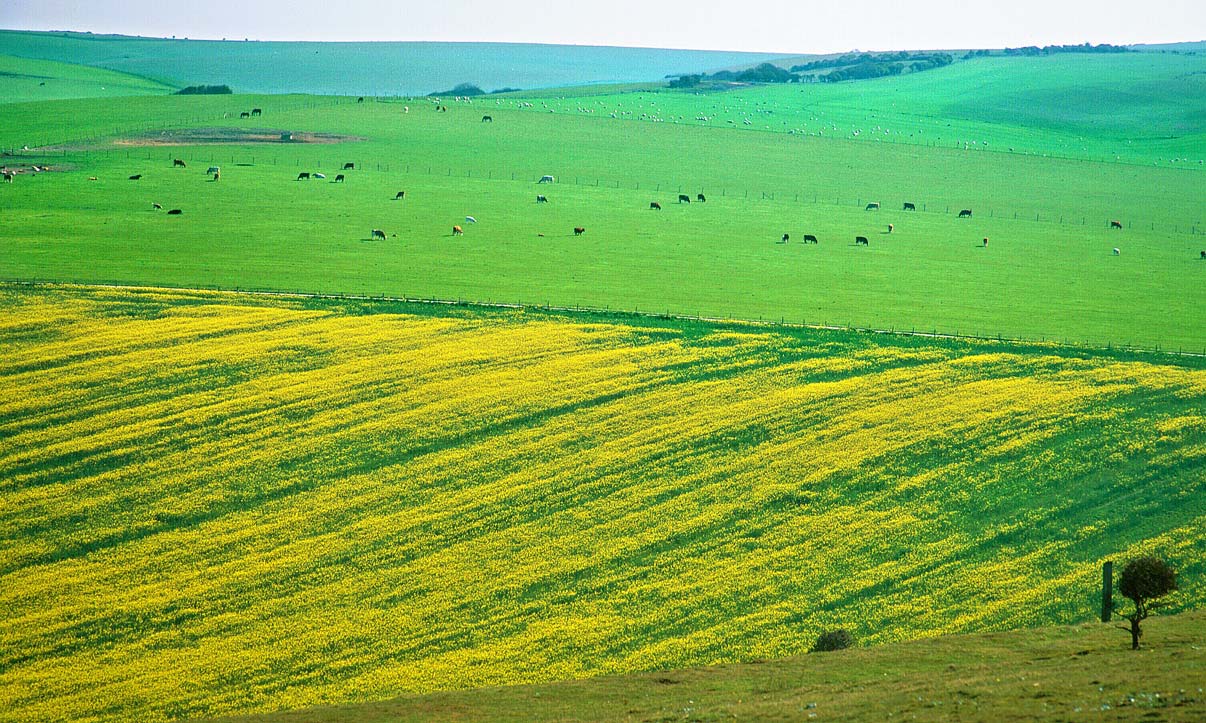 Пастораль