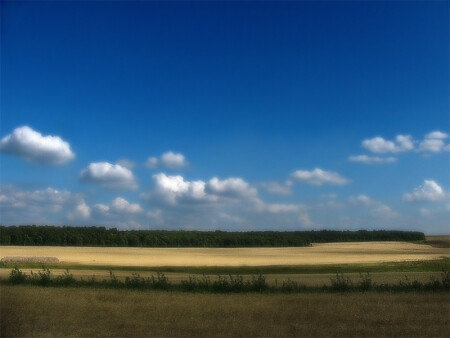 По дороге домой