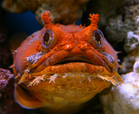 Какой у тебя фотоаппарат!....