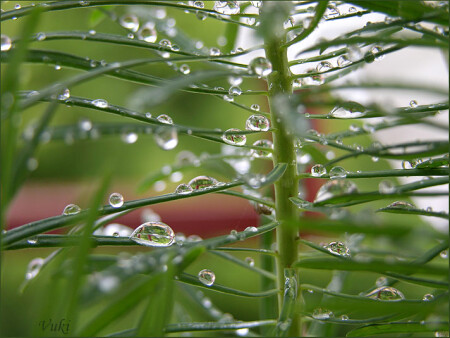 Близится осень...