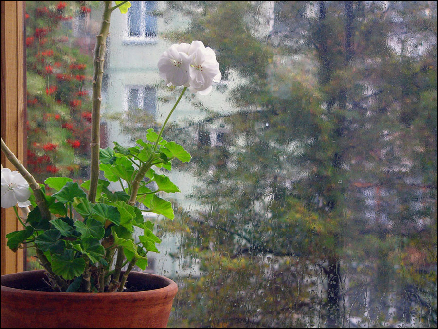 В нашем городе дождь (2)