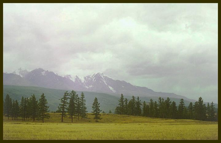 Перед хребтом