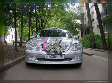 Свадебный Мерин