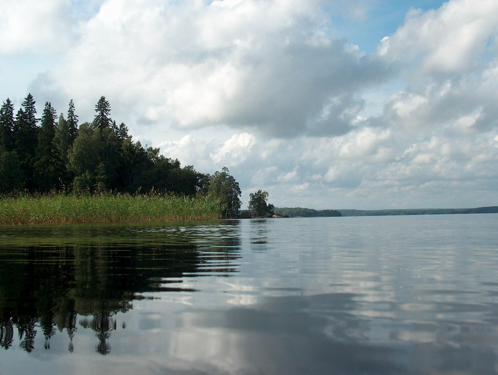 Монрепо