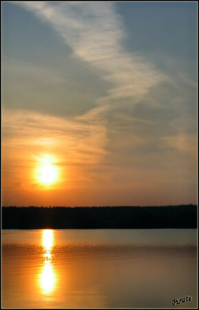 Предсказуемость движений