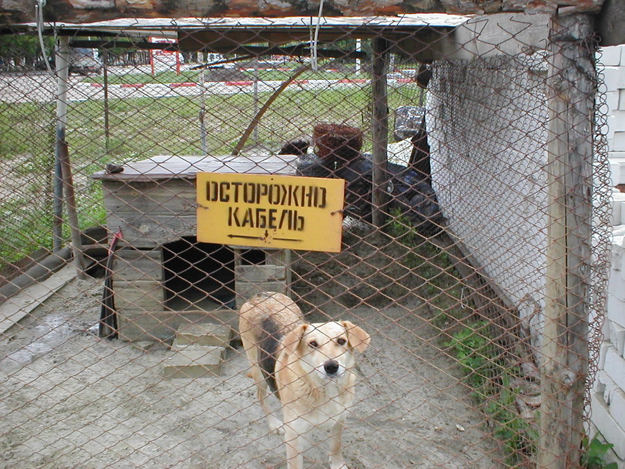 Неожиданное предупреждение