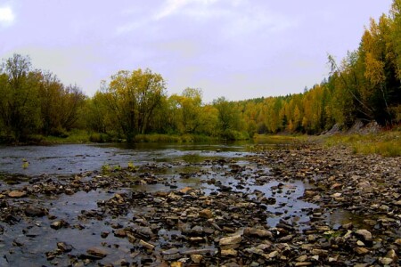 Осень. Камушки. Река.