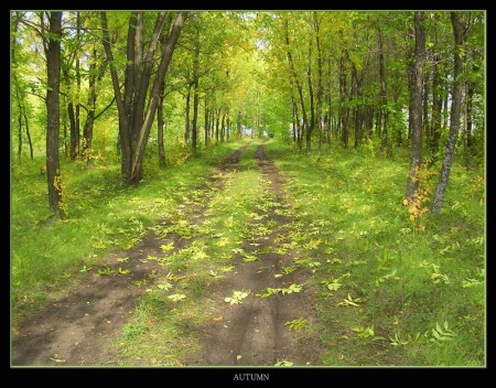 ранняя осень