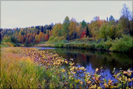 Палитра осени.