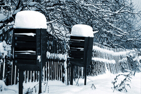 Дневной дозор