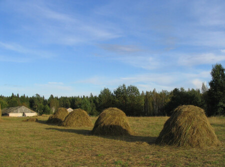 Стожки