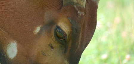 Безысходность