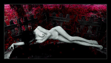 RED DREAMS