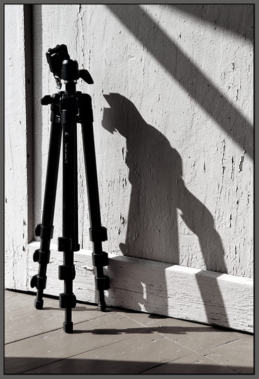 Ждет хозяина (Manfrotto 719)