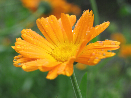 После дождя..