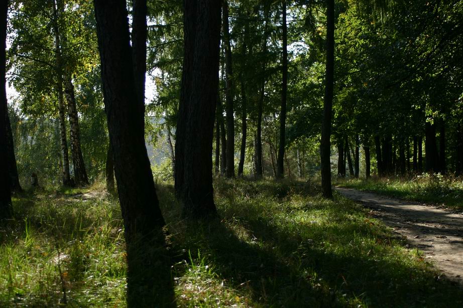 Лукоморье