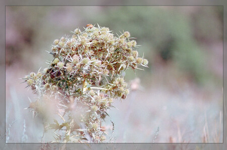 почти букет