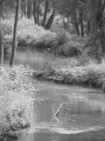 что там за поворотом...