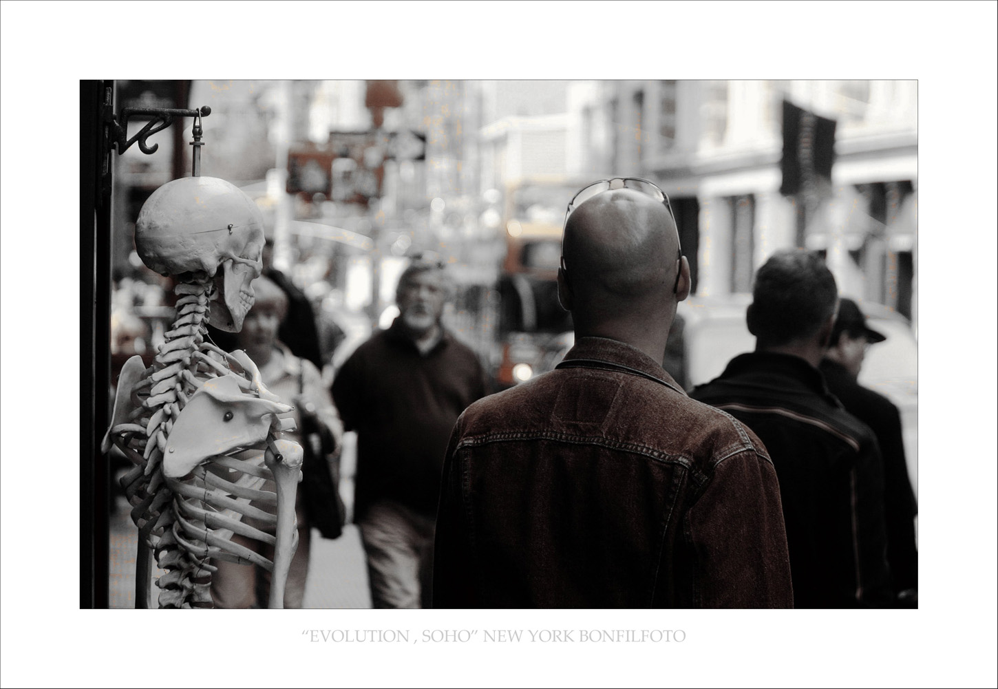 &quot;EVOLUTION&quot; NEW YORK