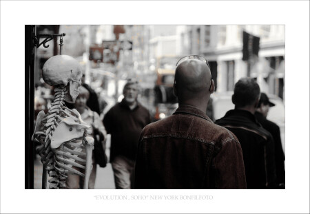 "EVOLUTION" NEW YORK