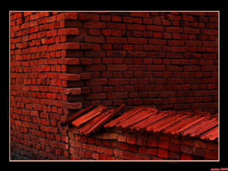 The wall