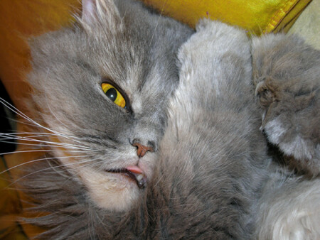 Лежащего не бьют