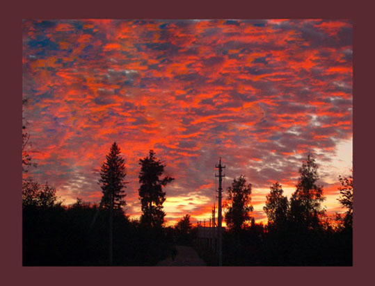 Кровавое небо .