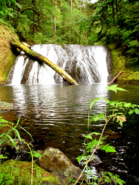 Waterfall