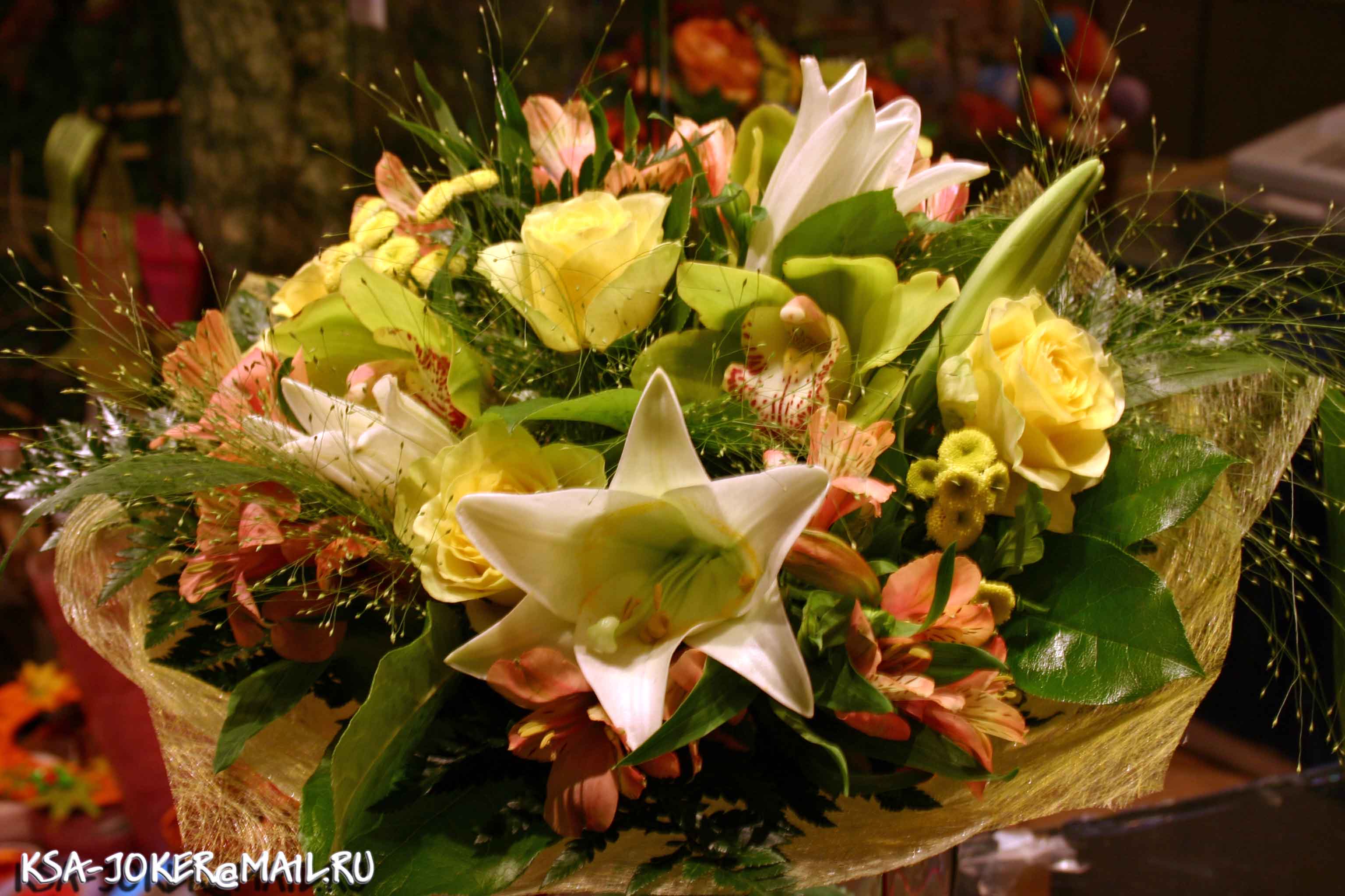 ФЛОРИСТИКА (1)